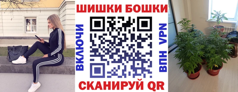 где найти   Староминская  Каннабис Amnesia 